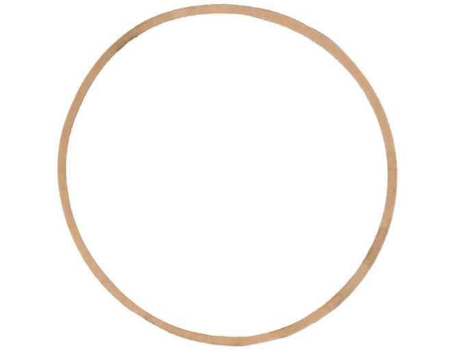 1306165 - SAM Gasket for Meyer® OEM: 551G