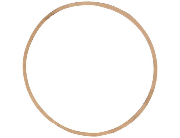 1306165 - SAM Gasket for Meyer® OEM: 551G